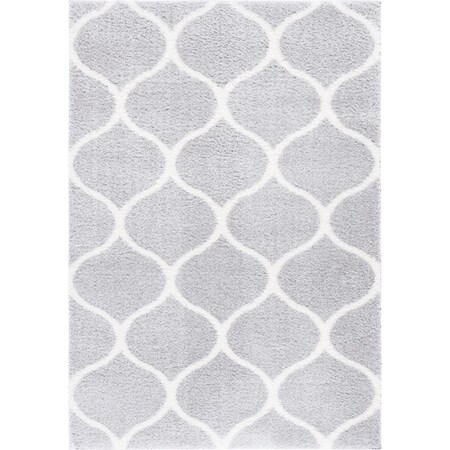 Safavieh 5 x 7 ft. Tahoe Shag Contemporary Rectangle Area Rug; Light Grey & White THO677F-5
